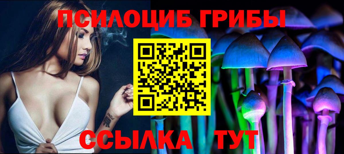 Галлюциногенные грибы MAGIC MUSHROOMS  Псилоцибиновые грибы Psilocybe  Краснодар  Вход с VPN 