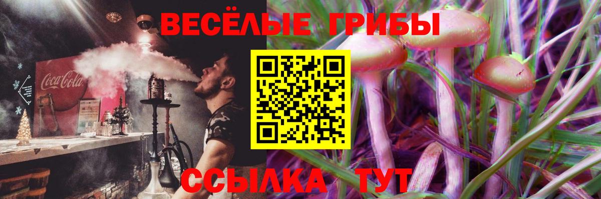 Псилоцибиновые грибы Psilocybine cubensis Краснодар
